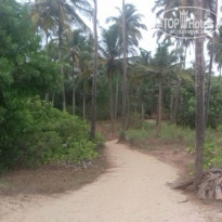 фото из отзыва ID 1507450