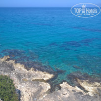 фото из отзыва ID 1507679