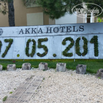 фото из отзыва ID 1507776