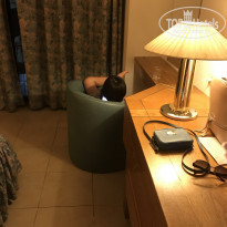 фото из отзыва ID 1508363