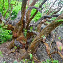 фото из отзыва ID 1508395