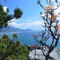 фото из отзыва ID 1508395