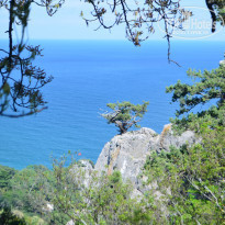 фото из отзыва ID 1508395