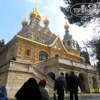 фото из отзыва ID 1508460