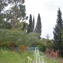 фото из отзыва ID 1508556