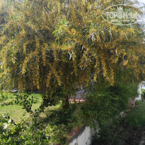 фото из отзыва ID 1508625