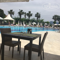 фото из отзыва ID 1508810