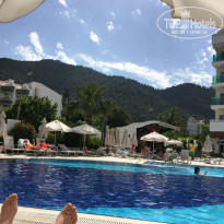 фото из отзыва ID 1508810