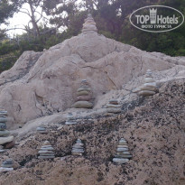 фото из отзыва ID 1508975