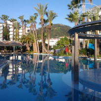 фото из отзыва ID 1509029