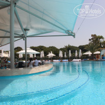 фото из отзыва ID 1509165