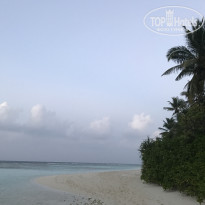 фото из отзыва ID 1509217