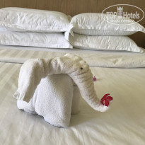 фото из отзыва ID 1509217