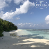 фото из отзыва ID 1509217