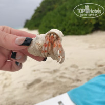 фото из отзыва ID 1509217