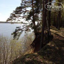 фото из отзыва ID 1509231