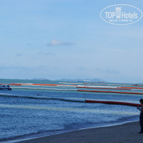 фото из отзыва ID 1509249