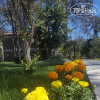 фото из отзыва ID 1509348