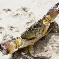 фото из отзыва ID 1509368