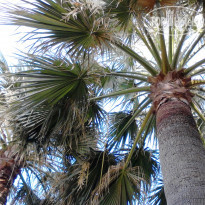 фото из отзыва ID 1509412