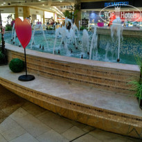 фото из отзыва ID 1509429