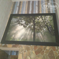 фото из отзыва ID 1509429