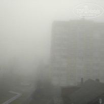 фото из отзыва ID 1509429