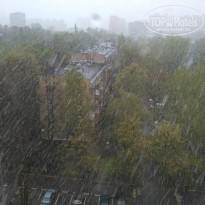 фото из отзыва ID 1509429