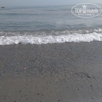 фото из отзыва ID 1509462