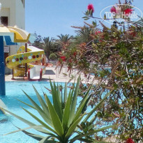 фото из отзыва ID 1509489