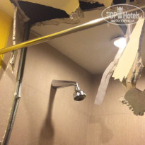 фото из отзыва ID 1509585