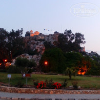 фото из отзыва ID 1509754