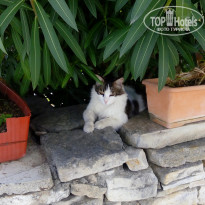 фото из отзыва ID 1509754