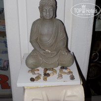 фото из отзыва ID 1509764