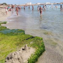 фото из отзыва ID 1507283