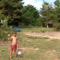 фото из отзыва ID 1509913