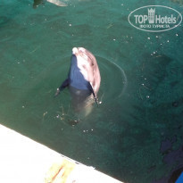 фото из отзыва ID 1509913