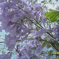 фото из отзыва ID 1503492