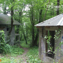 фото из отзыва ID 1504027