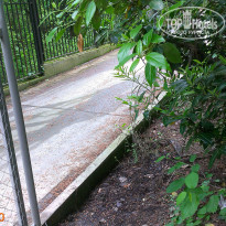 фото из отзыва ID 1504027