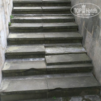 фото из отзыва ID 1504027