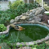 фото из отзыва ID 1504027