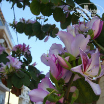 фото из отзыва ID 1507675