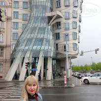 фото из отзыва ID 1501949