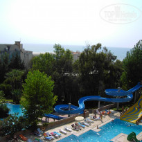 фото из отзыва ID 151025