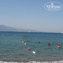 фото из отзыва ID 151658