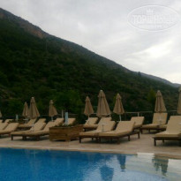 фото из отзыва ID 1510056