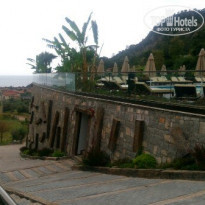 фото из отзыва ID 1510056