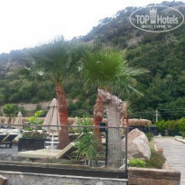 фото из отзыва ID 1510056