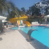 фото из отзыва ID 1510162